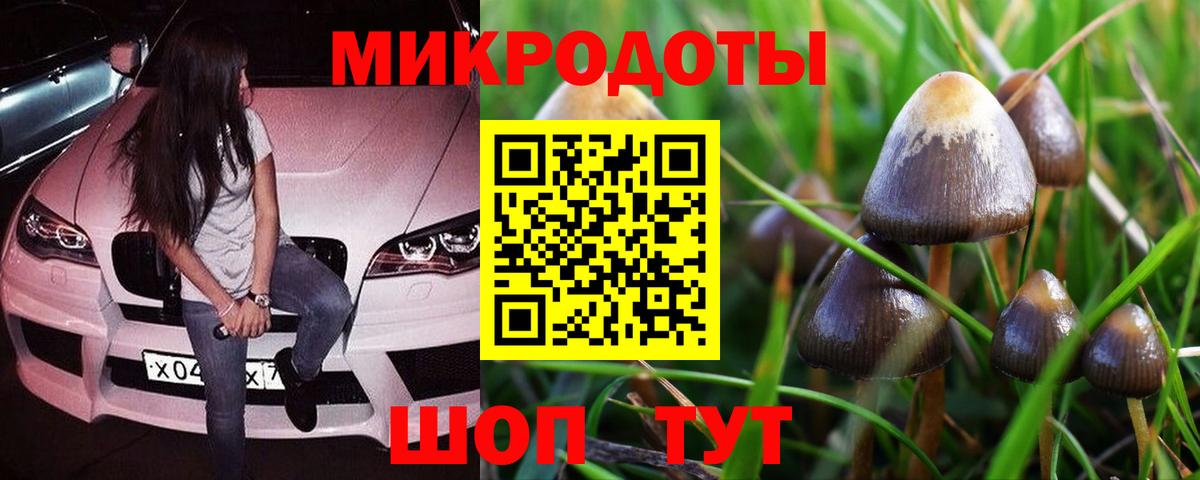 Киселёвск  Псилоцибиновые грибы мицелий  Вход с VPN 