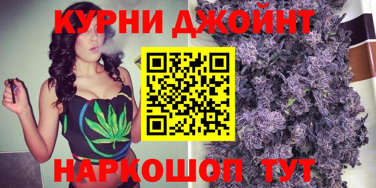 Бошки марихуана конопля Киселёвск